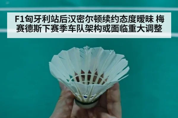 F1匈牙利站后汉密尔顿续约态度暧昧 梅赛德斯下赛季车队架构或面临重大调整